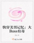 촩м䣺Bossж